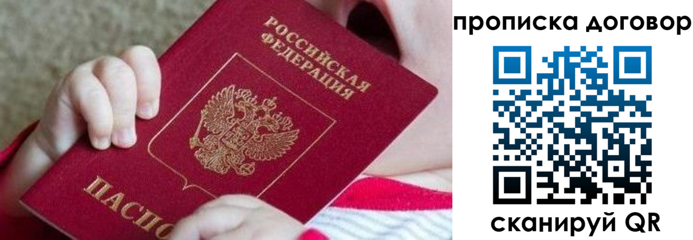 временная регистрация поиск в Выборге